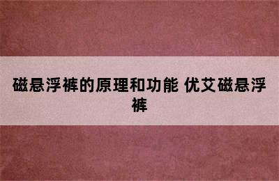 磁悬浮裤的原理和功能 优艾磁悬浮裤